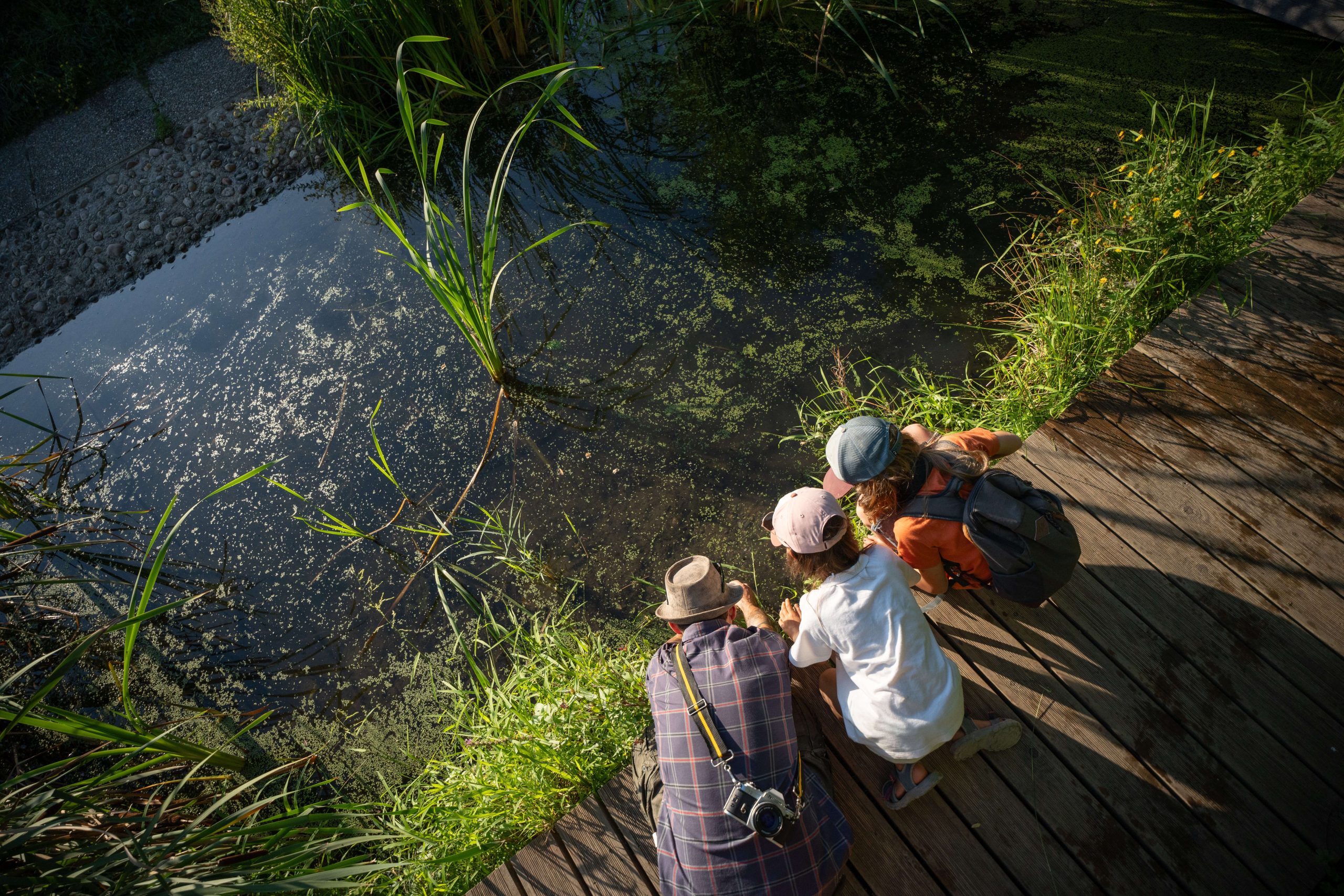 Enfants observant la mare - Maison de la nature à Hirtzfelden