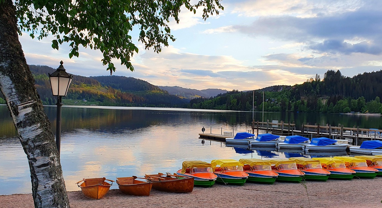 vue sur le lac du Titisee