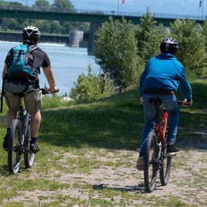 Balade à vélo au bord du Rhin