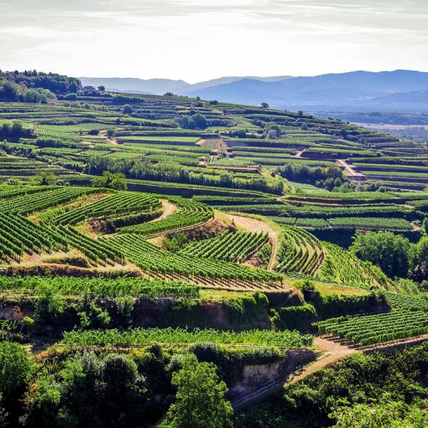 Kaiserstuhl en Allemagne
