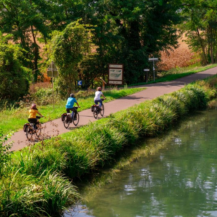 Cyclistes à vélo sur la Véloroute du canal - Colmar