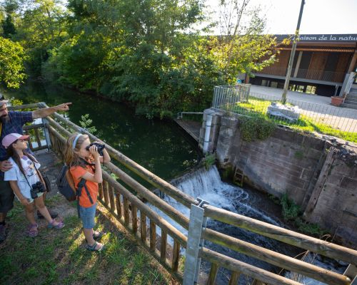 Famille qui se balade dans les remparts de Neuf-Brisach