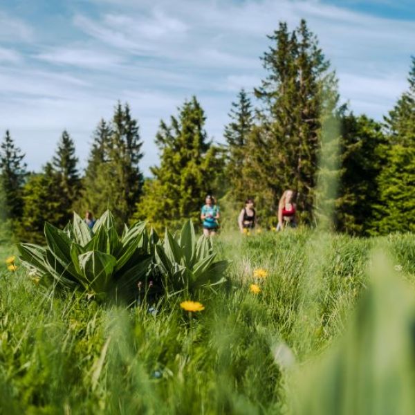 randonnée à Munster