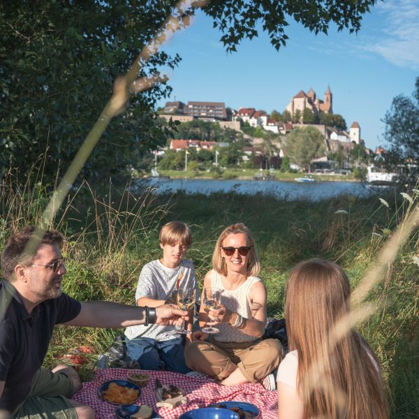 Pique-nique sur l'Ile du Rhin